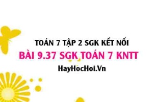Bài 9.37 SGK Toán 7 Tập 2 Kết nối tri thức